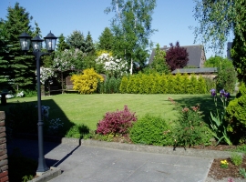 Foto 9