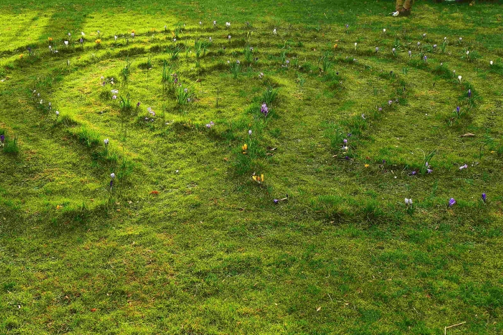 Labyrinth im Frühling
