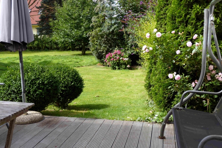 Blick in den Garten