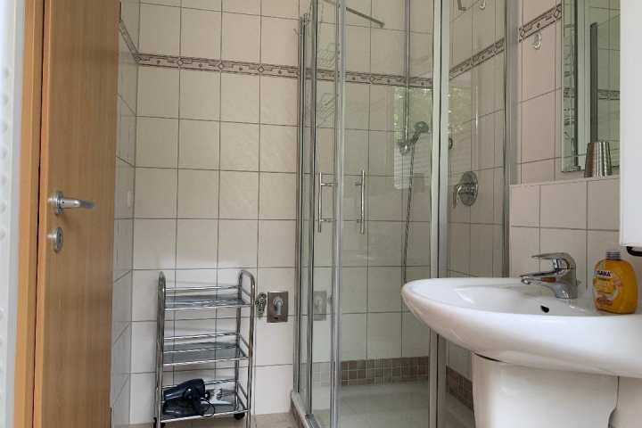 Apartment: kleines Duschbad