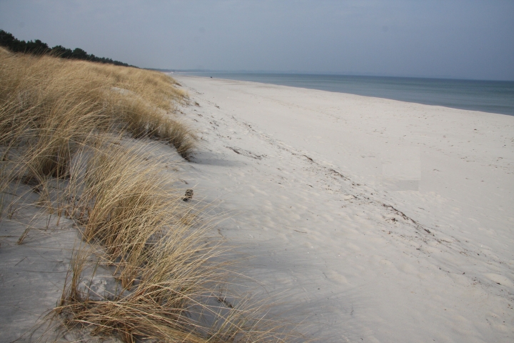 8 km langer Ostseestrand