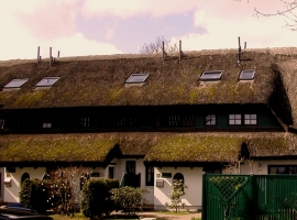 Eingang Ferienhaus Dünenrose Nr. 17 C und Sanddorn Nr. 17 D