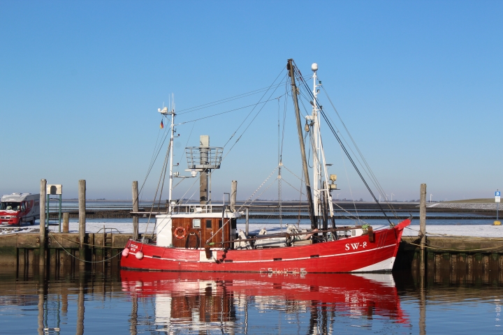 Ein Krabbenkutter im Hafen Schlüttsiel.