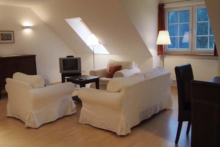Wohnen mit Flachbildschirm und Kamin