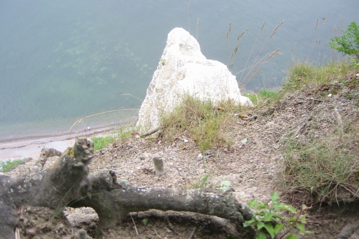 Kreidefelsen auf Jasmund