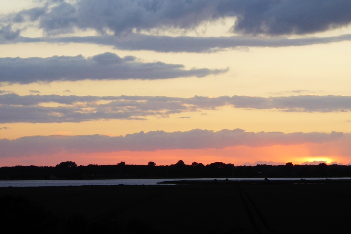 Bodden am Rattelvitzer Feld
