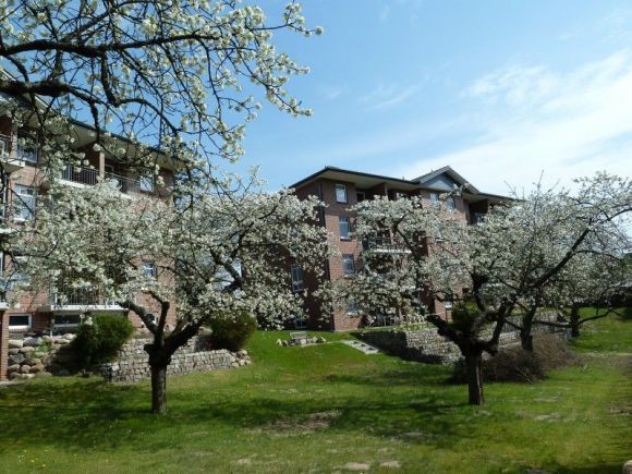 Haus Roland Ferienwohnungen | Wunderbare Kirschblüte