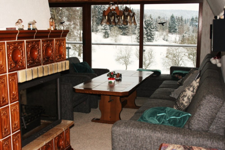 Wohnzimmer(22qm) mit Panoramablick über's Freibachtal, Kamin