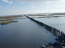 Weltnaturerbe Wattenmeer