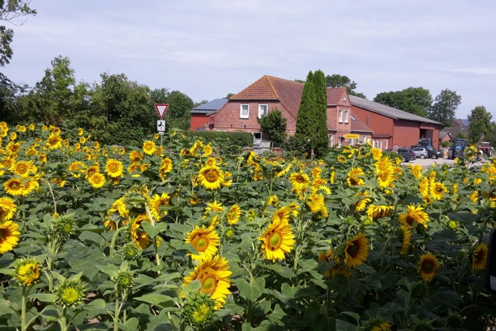 Ferienwohnung auf Ferienhof Rathmann | 