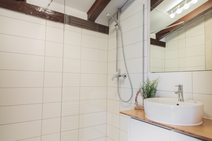 Duschbad mit Walk in Dusche Wohnung 2/17