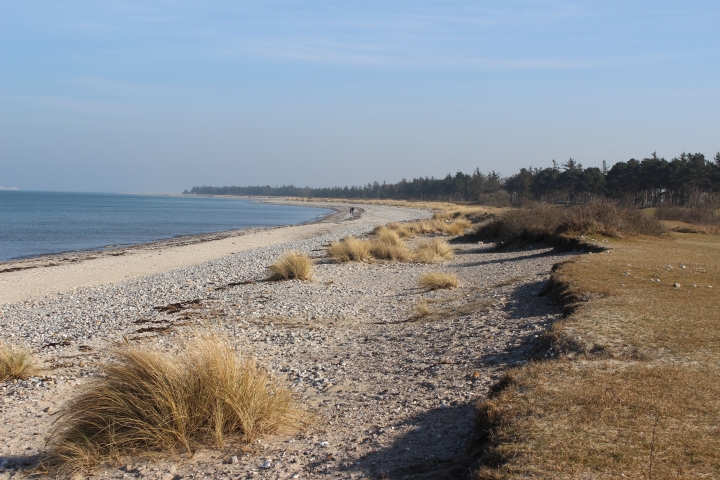 Unser schöner Naturstarnd 1,7km Entfernung
