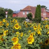 Ferienwohnung auf Ferienhof Rathmann