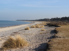 Unser schöner Naturstarnd 1,7km Entfernung