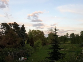 Blick in den Garten am Abend