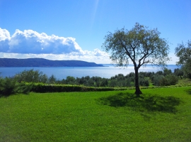 Foto 13