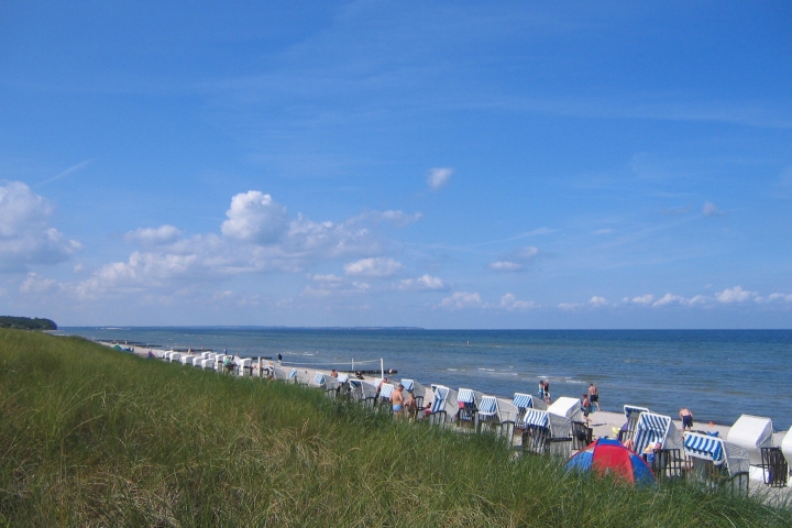 Strand - Schwarzer Busch