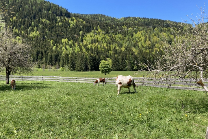 wunderbare naturbelassene Landschaft