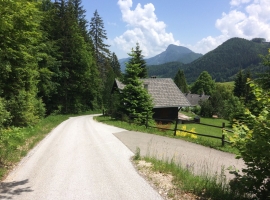 Foto 18