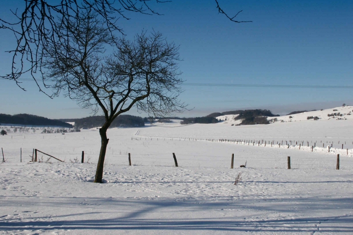 Blick aus dem Garten im Winter...