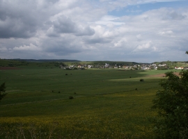 Foto 19