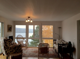 Wohnzimmer mit Sicht auf den Untersee
Living room with view of Lake Constance
