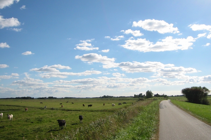 Eiderstedter Weg mit weiter Landschaft