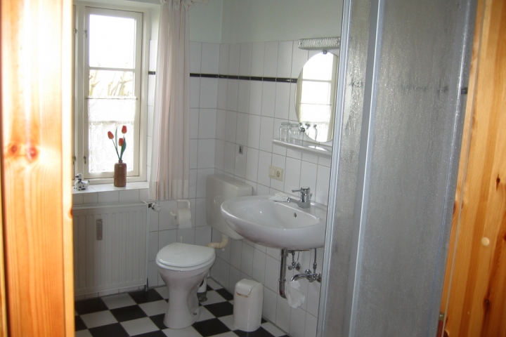 Ein modernes Duschbad mit WC.