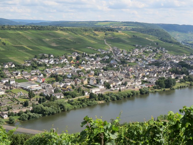 Blick auf Neumagen an der Mosel