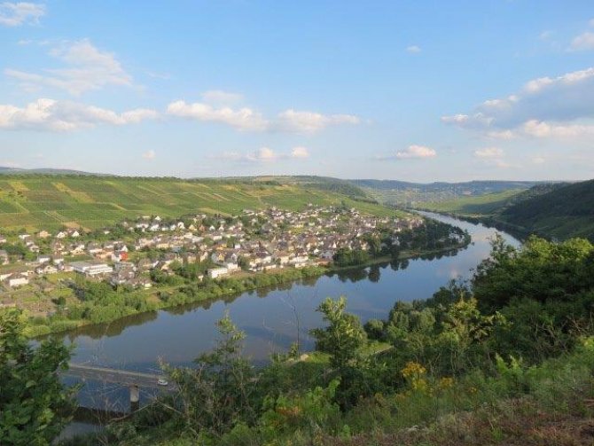 Blick auf Neumagen-Dhron