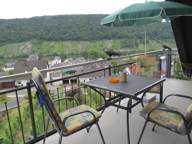 Ausblick vom Balkon der Fewo  Traumblick (12)