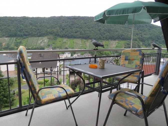 grosser Balkon  Süd/West mit
Blick zur Mosel und den Ort  FEWO Traumblick
Nr 12
