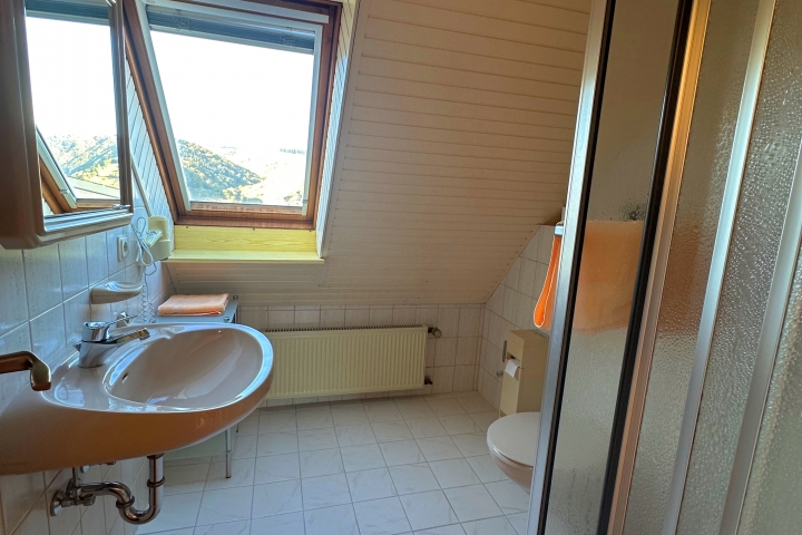 DU/WC der FEWO Traumblick NR 12