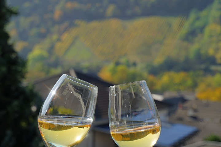 Ein Glas Wein genießen aus dem eigenen Weingut