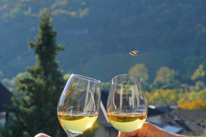 Den Tag ausklingen lassen mit einem Glas Wein aus dem eigenen Weingut