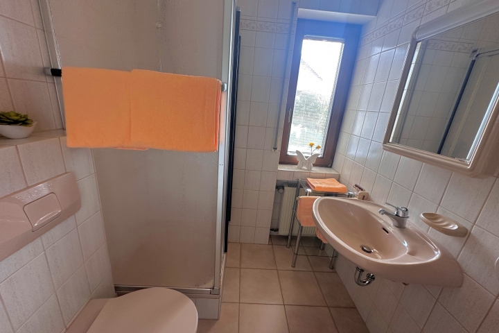 DU/WC der FEWO Moselpanorama NR 7