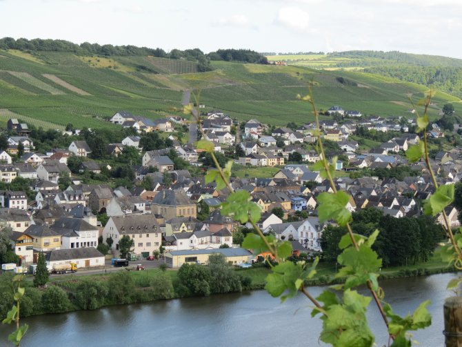 Blick auf Neumagen