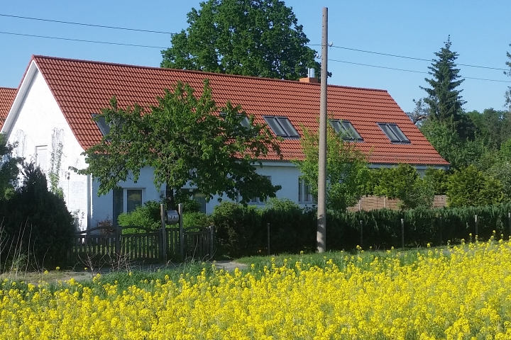 Blick vom Feld auf das Haus Mühlenbeck