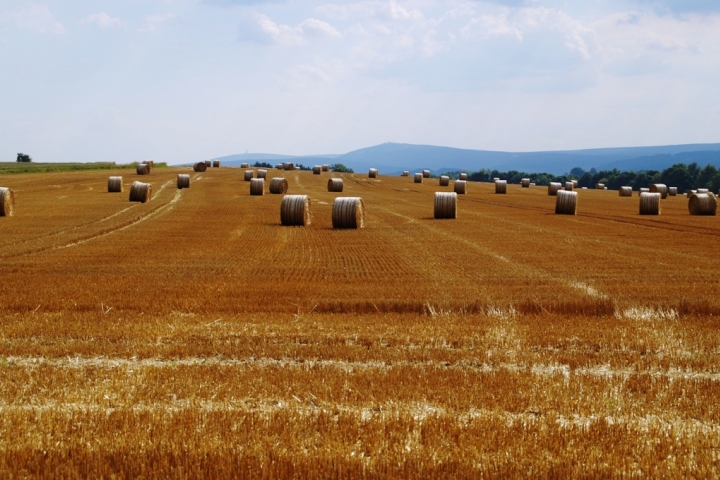 Spätsommerstimmung. Das Erzgebirge ist zu jeder Jahreszeit ein lohnendes Reiseziel.