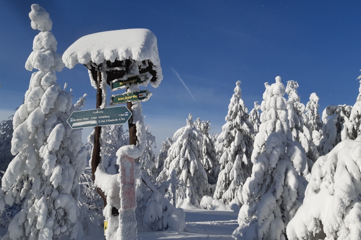 Und so sieht ein Spaziergang im Winter aus.