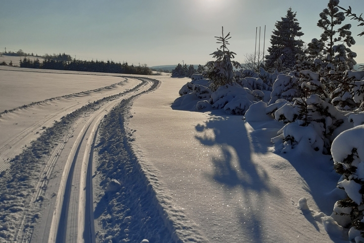 Eine Skitour durch den Winterwald rund um Neudorf.