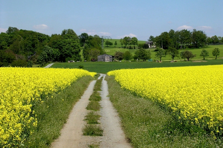 Endlich Frühling 