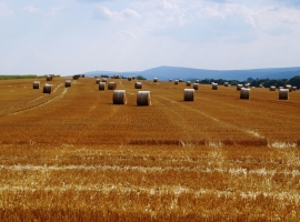 Spätsommerstimmung. Das Erzgebirge ist zu jeder Jahreszeit ein lohnendes Reiseziel.