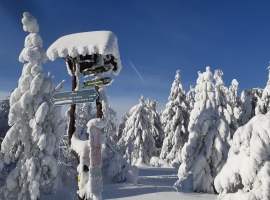 Und so sieht ein Spaziergang im Winter aus.