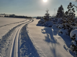 Eine Skitour durch den Winterwald rund um Neudorf.