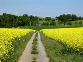 Endlich Frühling 