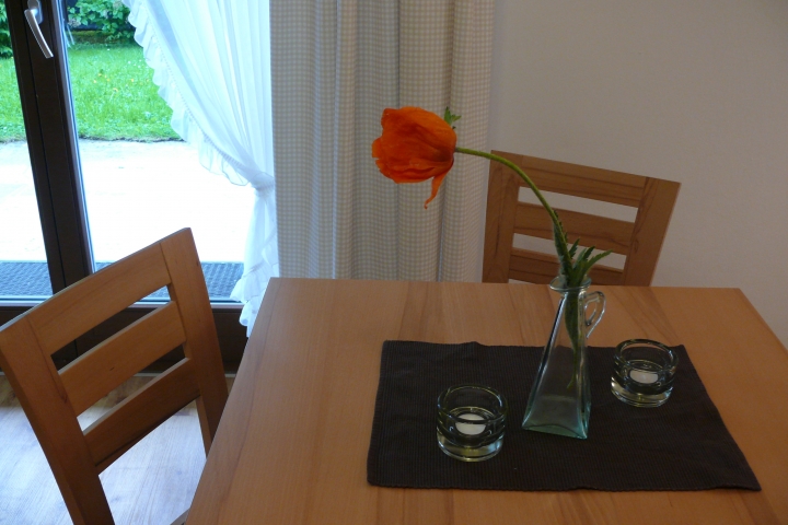 Ein Schrankbett (auch Doppelbett) im Wohnzimmer Typ B 