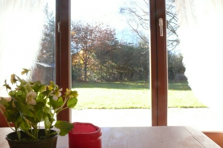 Ferienwohnungen Gästehaus Boarlehof | Sonnige Aussicht aus dem Wohnzimmer