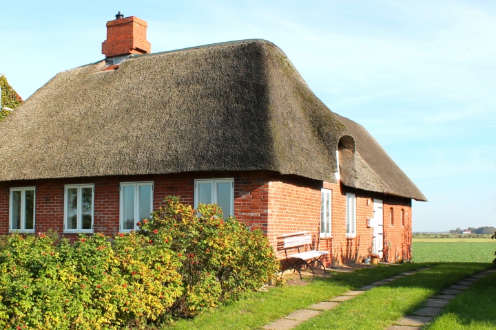 Ferienhaus mit Reetdach auf einem historischen Seedeich in Tudenswarft mit Blick in die Marschlandschaft.