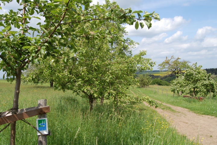 Saar-Hunsrück-Steig. Teilstrecke durch den Bungert (Obstwiese), an unserem Haus vorbei, zur Junkersmühle und ins Baybachtal